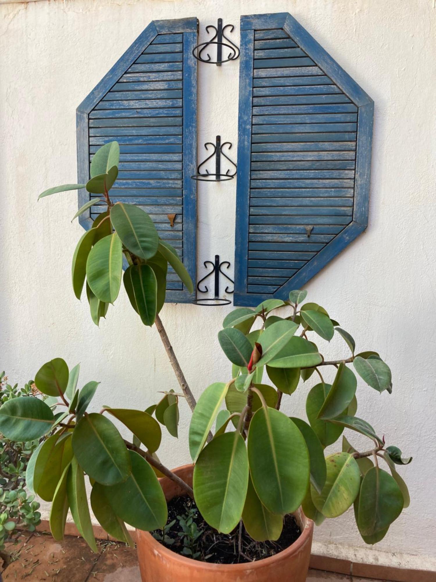 Casa Coco No 11 Διαμέρισμα Polopos Εξωτερικό φωτογραφία