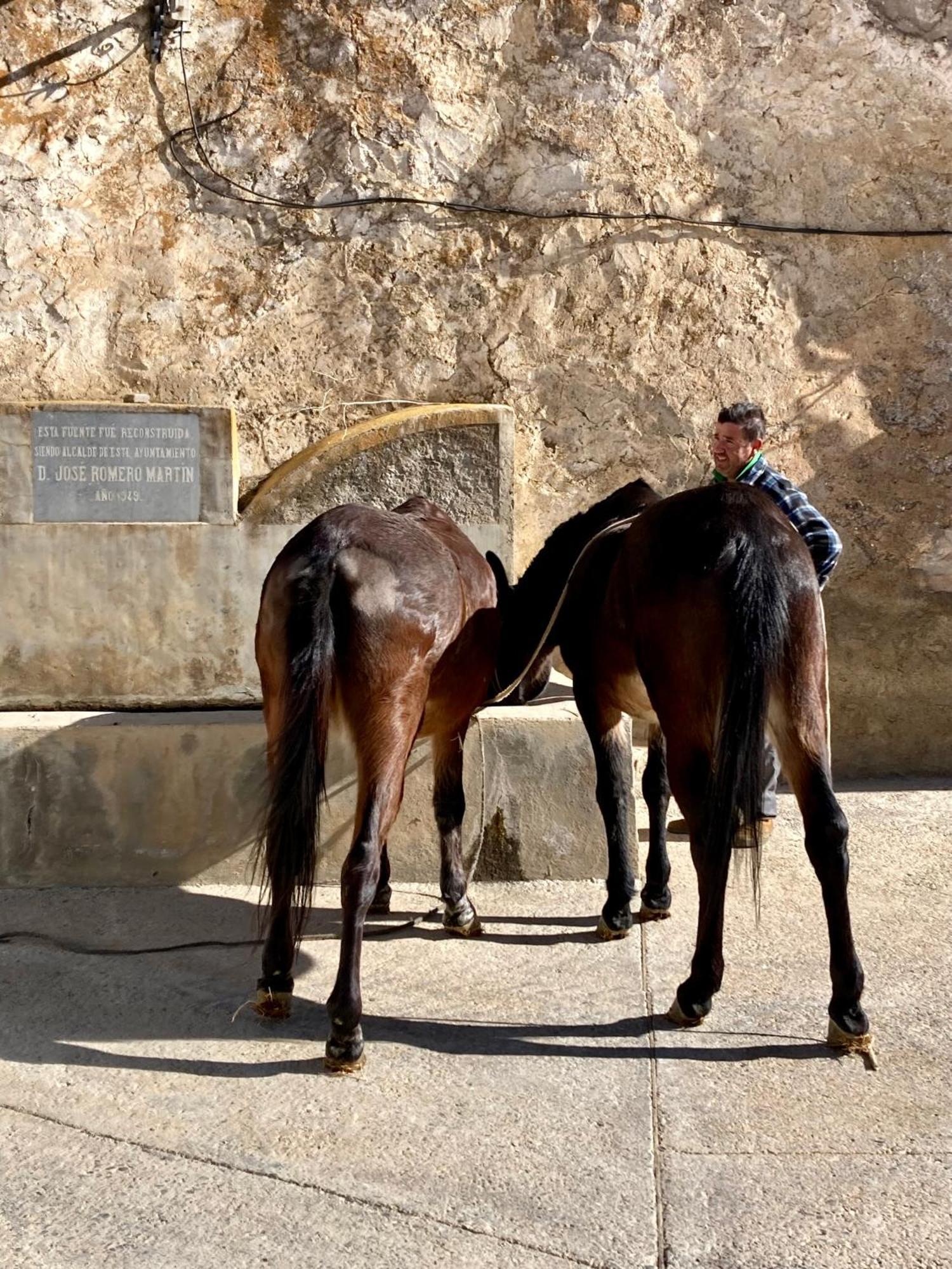 Casa Coco No 11 Διαμέρισμα Polopos Εξωτερικό φωτογραφία